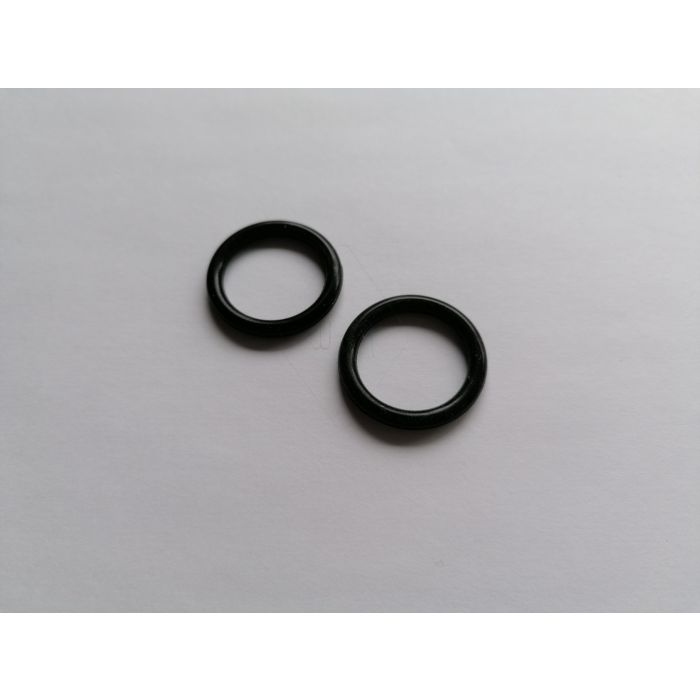 waterpump gasket 2pcs 