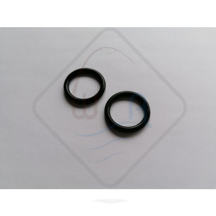 waterpump gasket 2pcs 
